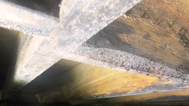 Moldy wood