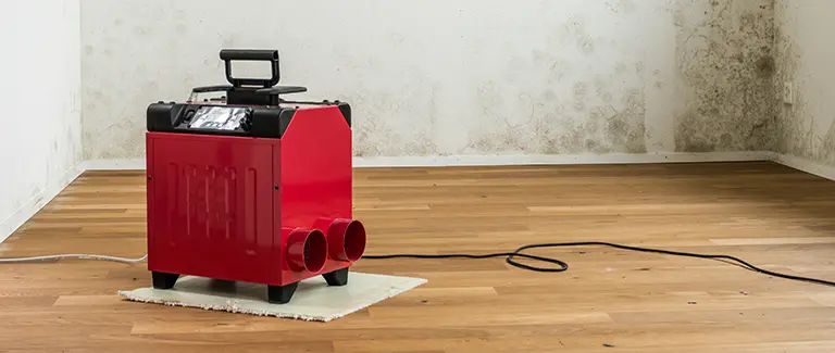 Dehumidifier
