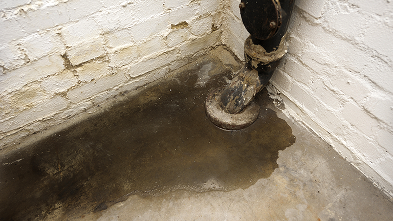 Leaking drain into basement