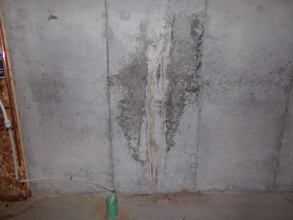 basement foundation repair eastern mold remediation Projects