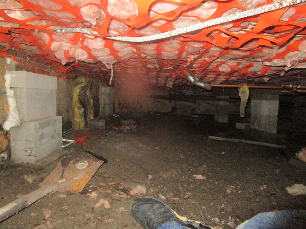 basement before mold remediation Projects