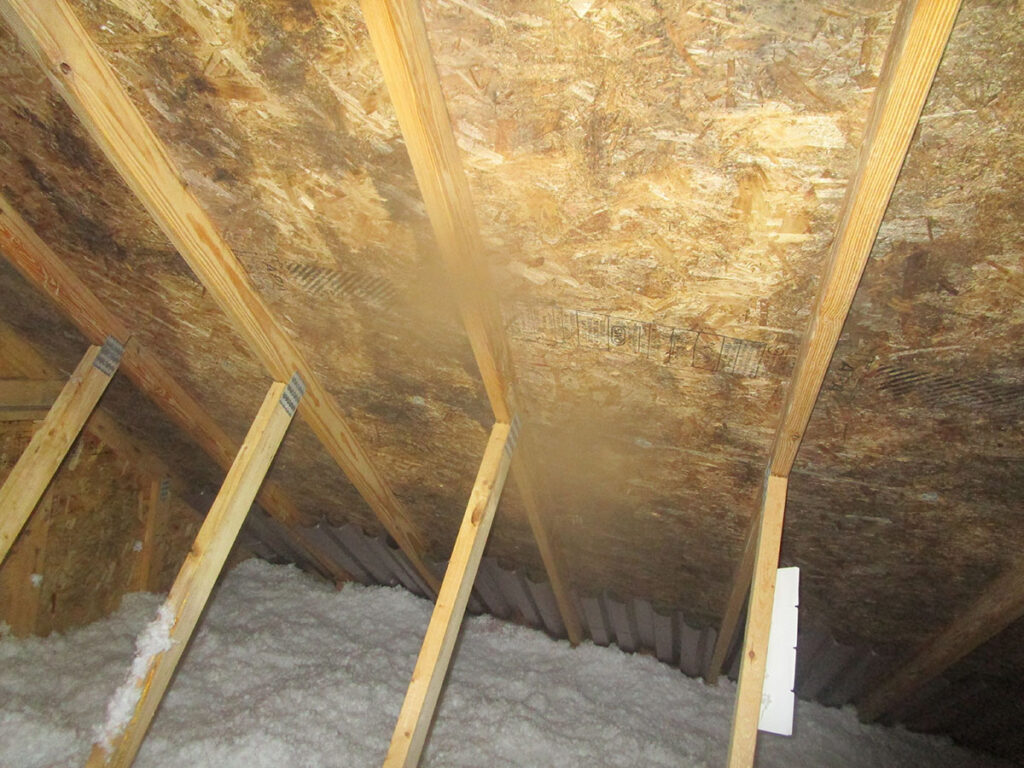 mold in basement Projects